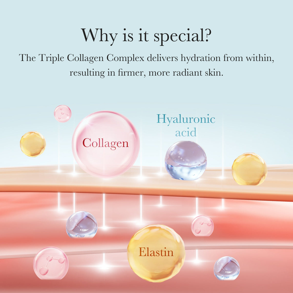 Triple Collagen Cream I3